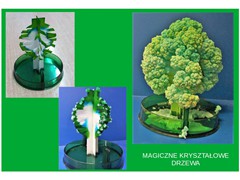 Magiczny kryształowy ogród (4)